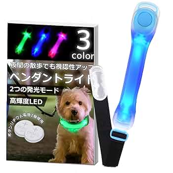 カプセルトイで犬のライトです 2025年6月20日(金)｜新商品案内】「アニマルアトラクション いい